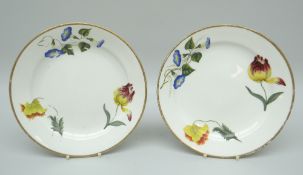 A PAIR OF SWANSEA DUCK-EGG PORCELAIN DESSERT PLATES painted with three botanical studies to each,