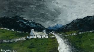 WYN HUGHES oil on board - entitled verso 'Snowdonia Cottage', signed, 13 x 23cms