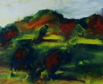 MIKE JONES oil on board - entitled verso 'Landscape in Gwynfe', signed, 25 x 30cms