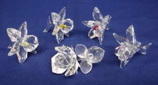 FIVE BOXED SWAROVSKI ORCHIDS with coloured centres in light and dark yellow and pink (plus one