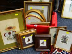 A TUB OF VARIOUS FRAMED PICTURES including nature watercolours ETC