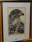 ANNA KIRK SMITH pencil drawing - study of an eagle in profile, signed and dated '95, 31 x 20cms (