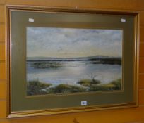 JEAN JOHN acrylic - expansive wetland view with birds and distant hills, signed, 36 x 56cms