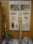 TWO VINTAGE GERMAN CIRICA 1950s CORN BEETLE EDUCATIONAL POSTERS together with a large brass