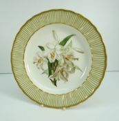DERBY PORCELAIN DESSERT PLATE having a botanical study to the centre, the border with fluted and