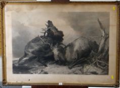 R. ANSDELL & H.T RYALL ANTIQUE ENGRAVING - two stags in a landscape entitled 'Combat'. 75 x