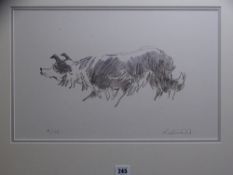 SIR KYFFIN WILLIAMS RA limited edition 4/75 print - 'Stalking Sheep Dog', signed in full, 44 x