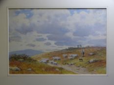 WARREN WILLIAMS ARCA, 1863-1941, watercolour, mounted but unframed - fine heathland scene with