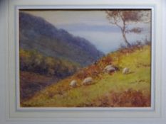 WARREN WILLIAMS ARCA, 1863-1941, watercolour, mounted but unframed - hillside scene with grazing
