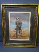 PHILLIP SNOW workshop proof etching - a falcon, signed in pencil, dated 81, 34 x 24cms