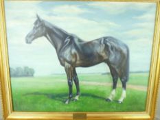P T LINCOTT 1974 oil on canvas - portrait of a horse, 'Flash Imp', winner of 1973 S.K.F Cesarewitch,