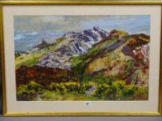 HELEN PARRY-JONES oil landscape - Bodafon mountain, Anglesey, signed and dated 2006, 47 x 74cms (