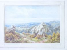 W DUNCAN watercolour - hilly countryside scene with flowering trees and footpath, signed, 19 x