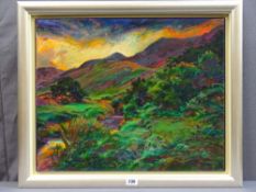 SELWYN JONES oil on canvas - Mount Ffrancon landscape, signed with initials and dated 1996, 43 x