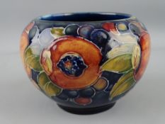 MOORCROFT, a deep blue ground 'Pomegranate' shallow circular bowl, 12cms diameter, 8cms high