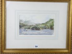 BARBARA GOOLDEN pen, ink and watercolour - Lake District scene, signed and titled verso '