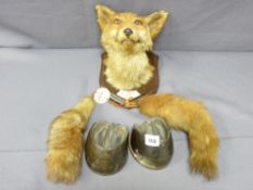 SHIELD MOUNTED TAXIDERMY STUDY OF A FOX HEAD, applied ivorex plaque reads 'M L Wade 1956 by