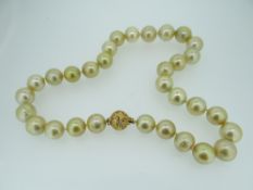 14CT YELLOW GOLD PEARL & DIAMOND NECKLACE featuring thirteen cultured South Sea pearls with four
