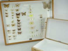 COLLECTION OF BUTTERFLY SPECIMENS contained in a Watkins & Doncaster glass frame, together with a