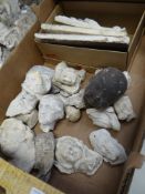 BOX CONTAINING VICTORIAN PLASTER MAQUETTES of various heads of Angels, Bishops ETC Provenance:PLEASE