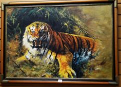 BRIAN WILLIAMS local Cardiff artist, oil on board - a growling tiger, 60 x 88cms