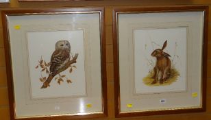 20TH CENTURY BRITISH SCHOOL guild stamped coloured prints, a pair - wildlife studies of a seated