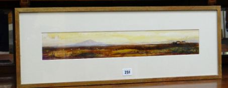 DAVID DIXON mixed media - landscape entitled 'Garn Llidi Near St Davids', 8.5 x 52cms