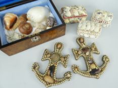 SHELLS & SHELL-WORK including a group of exotic shells contained in a burr walnut and mother-of-
