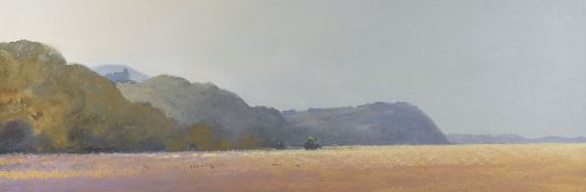 GARETH THOMAS watercolour and pastel - entitled verso on Attic Gallery label 'The Marsh at