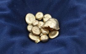 BETWEEN 5GMS & 5.1GMS OF PURE WELSH GOLD FROM THE ST. DAVIDS MINE refined to nine carat gold, with