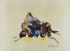 ISHBEL McWHIRTER pastel - study of a reclining bison, signed, 33 x 44cms