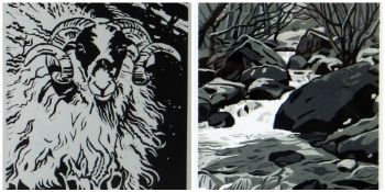 ANN LEWIS limited edition (17/25) black & white print - entitled 'Black Faced Ram', signed and dated