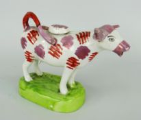SWANSEA CAMBRIAN POTTERY COW CREAMER with pink-lustre and iron-red markings, green shaped oval base,