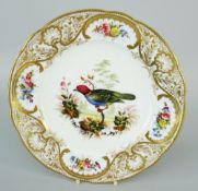 NANTGARW PORCELAIN MACINTOSH SERVICE PLATE painted in London by Robbins & Randall with a green, red