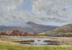 DAVID PRICE pastel on paper - entitled verso on Attic Gallery label 'A Glimpse of Corn Ddu', signed,