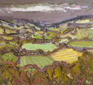 DAVID LLOYD GRIFFITH oil on board - colourful landscape, entitled verso 'Rain Over Trofarth: Dry