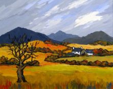 DAVID BARNES oil on board - Snowdonia with farmstead in autumn, signed verso, 40 x 50cms