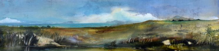 DAVID DIXON watercolour - view across countryside towards estuary, entitled verso 'Ynys Enlli From