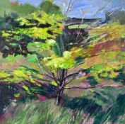 EMLYN THOMAS oil on canvas - landscape with tree, signed, 50 x 50cms