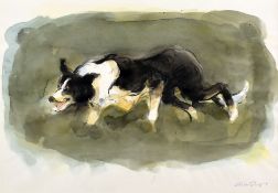 WILLIAM SELWYN watercolour - study of a working sheep dog, signed, 29 x 40.5cms (framed with glazing