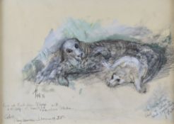 RAY HOWARD JONES mixed media - study of a seal and pup, annotated as follows 'Cow, we think, from