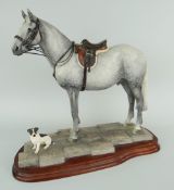 BORDER FINE ARTS LIMITED EDITION (46/500) MODEL OF A STANDING DAPPLED GREY HORSE saddled and bridled