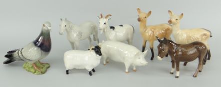 EIGHT BESWICK / ROYAL DOULTON ANIMAL MODELS including champion pig Wall Boy 53, racing pigeon and