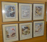 ARCHIBALD THORBURN set of six framed prints - ornithological studies, 30 x 24cms