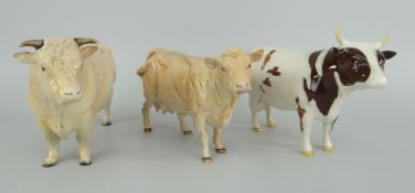 THREE BESWICK POTTERY CATTLE comprising standing charolais bull (damage) and cow, Ayrshire Bull (