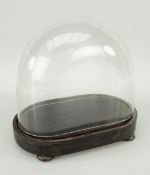 SMALL GLASS OVAL ANTIQUE DISPLAY DOME with wooden base on bun feet, 24.5cms wide