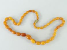 STRING OF BELIEVED GRADUATED BUTTERSCOTCH AMBER, 55.3gms approximately