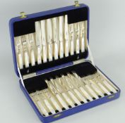 CASED SET OF 24 SILVER & MOTHER-OF-PEARL TEA-KNIVES & FORKS in unused immaculate condition and