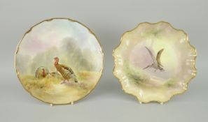 ROYAL DOULTON HAND PAINTED CABINET PLATE signed 'Evans' depicting a snipe, together with another
