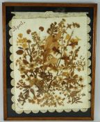 LATE 19TH / EARLY 20TH CENTURY SPECIMEN COLLAGE OF LEAVES & FOLIAGE, marked top '... variety of